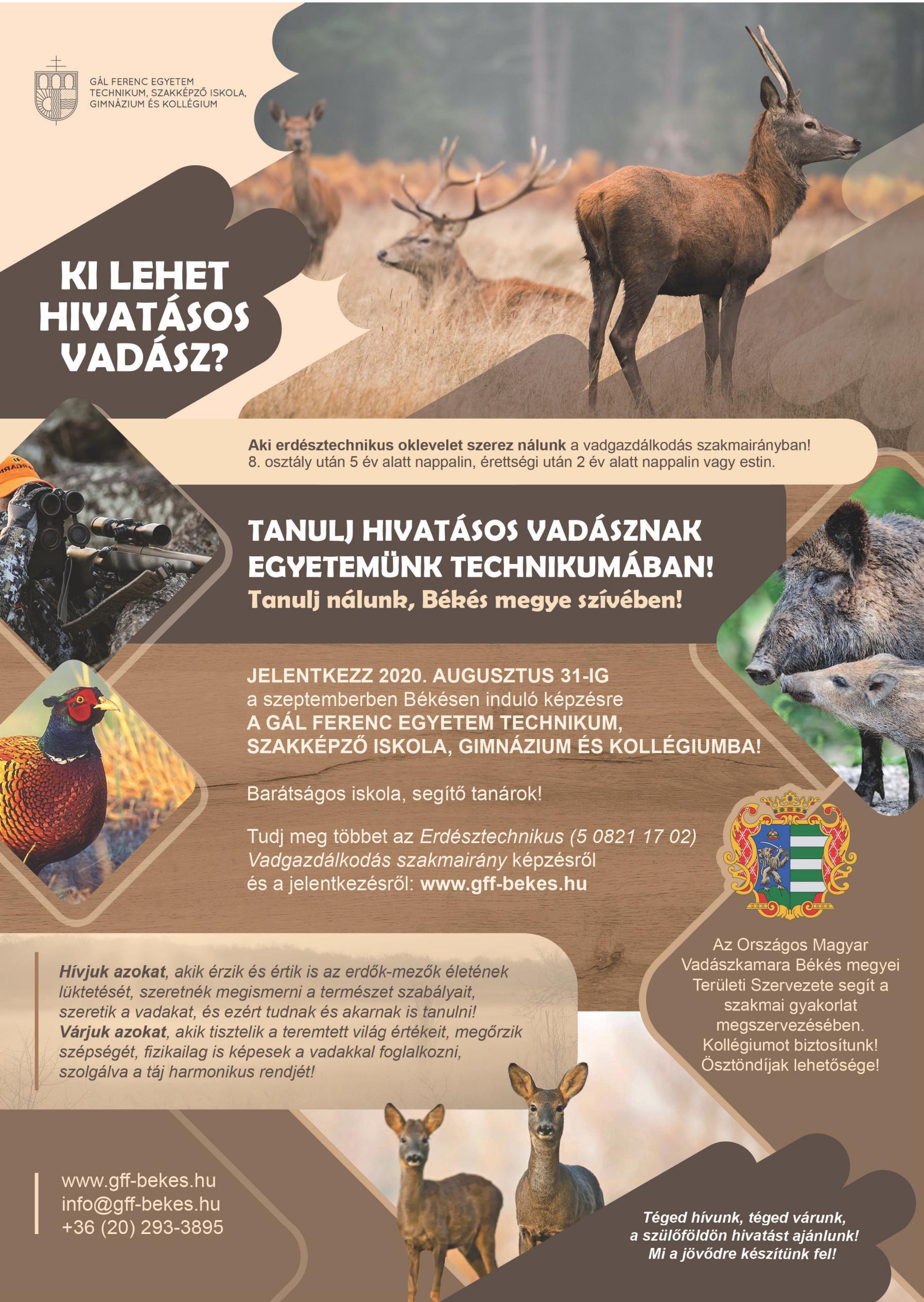 Erdésztechnikus képzés